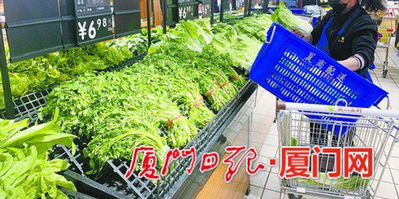 厦门商贸公司的未来之路：行业分析与战略规划
